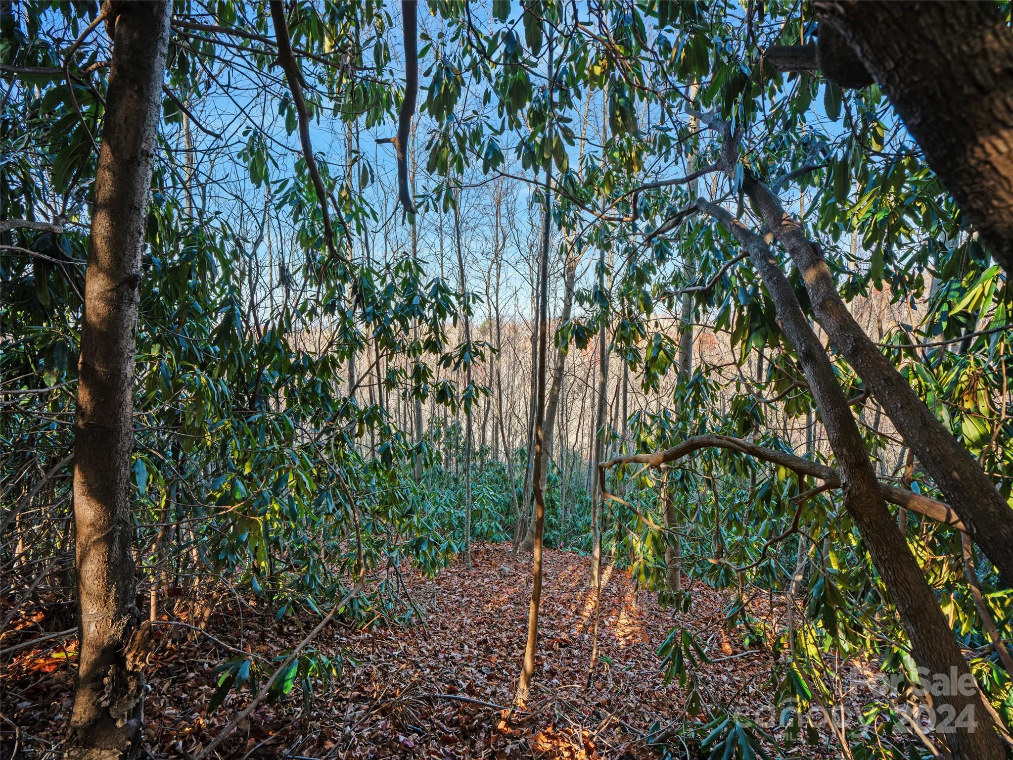 Carriage Park - Land