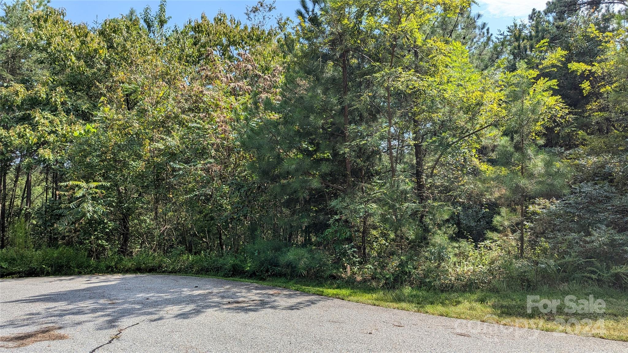 14 Spring Hollow Road