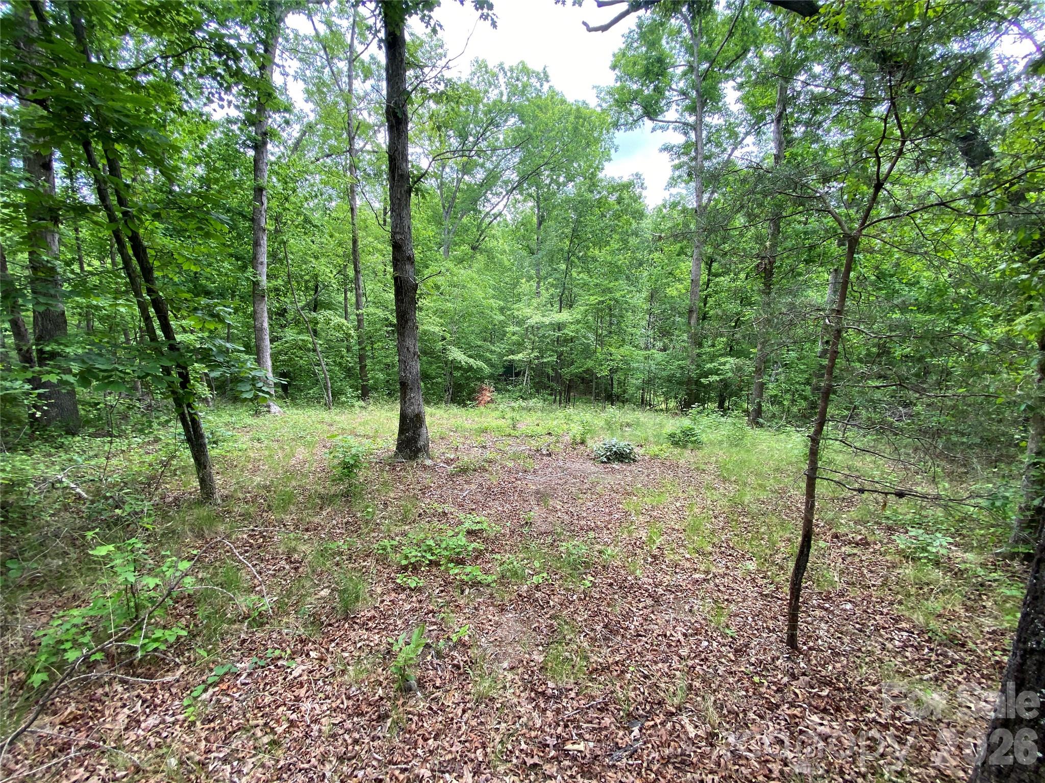 00 Kiser Road