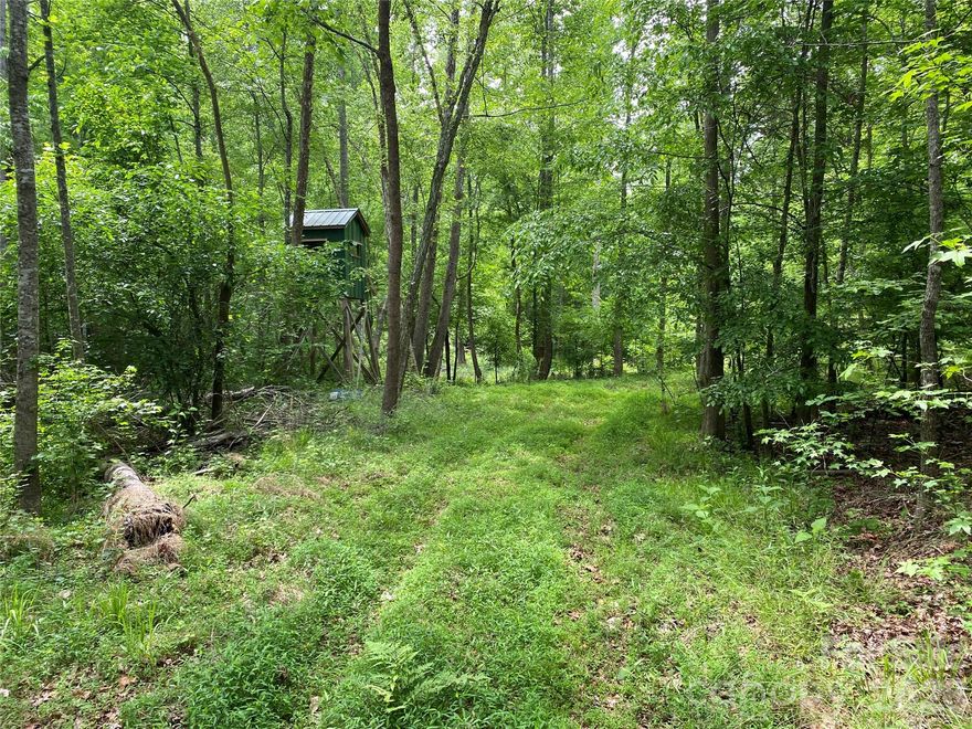 This 1.81-acre creek front property offers a rare opportunity to own a private, ready-to-use tract with excellent recreational and residential potential. Located on a quiet, lightly traveled road, this parcel provides the seclusion and peaceful setting sought by outdoor enthusiasts, and those looking to build a custom home or weekend getaway. The property features a partially cleared homesite, making it easier to envision and begin construction of a tiny cabin, custom stick-built home, or to simply set up an RV for year-round camping use.

A defining feature of this tract is the beautiful creek that flows along the back of the property. With easy access all the way down to the water, the land invites relaxation, exploration, and enjoyment of nature. The creek not only enhances the scenic value but also provides a natural draw for wildlife, making this property appealing for outdoor enthusiasts. A hunting box stand is already in place and will convey with the sale, adding immediate functionality for hunters, kids treehouse or just quietly viewing the wildlife. 

The property is equipped with practical improvements that add value and convenience. County water is available at the front of the lot, and the tap fee has already been paid, saving both time and upfront expense for future development. Access to the property is straightforward, allowing for easy entry whether you are bringing in building materials, parking an RV, or simply visiting for a weekend retreat.

Minimal restrictions are attached to the property, offering flexibility for a variety of uses while still maintaining the integrity of the surrounding area. Whether you are seeking a quiet place to build your primary residence, a seasonal getaway, or a recreational basecamp for hunting and outdoor activities, this tract provides the versatility to meet your needs.

With its combination of creek frontage, build-ready terrain, existing improvements, and private setting, this 1.81-acre property stands out as a manageable and desirable investment. Properties of this size with water features and utilities in place are increasingly difficult to find, making this an excellent opportunity to secure your own piece of land for recreation, relaxation, and future development.
