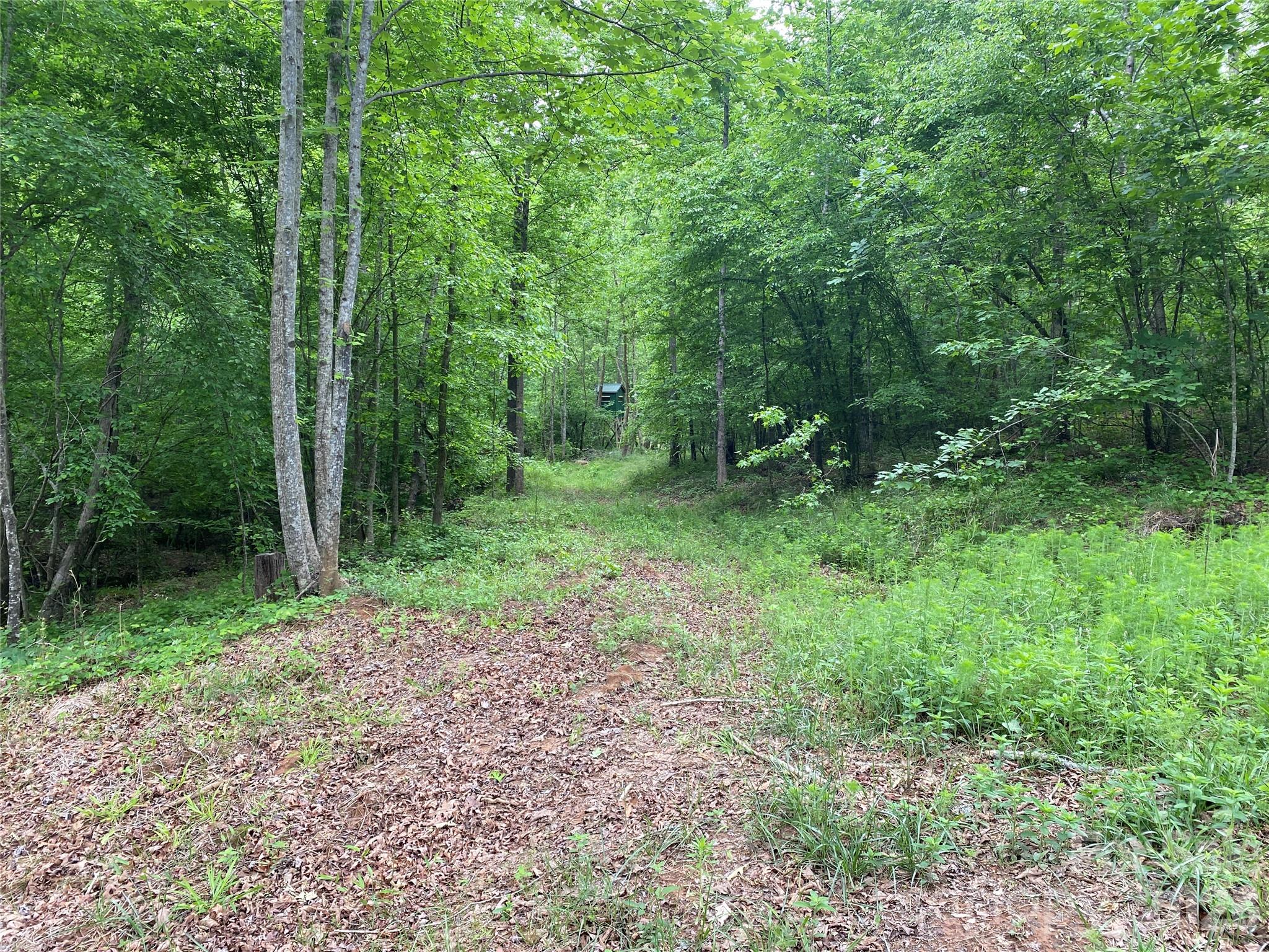 00 Kiser Road