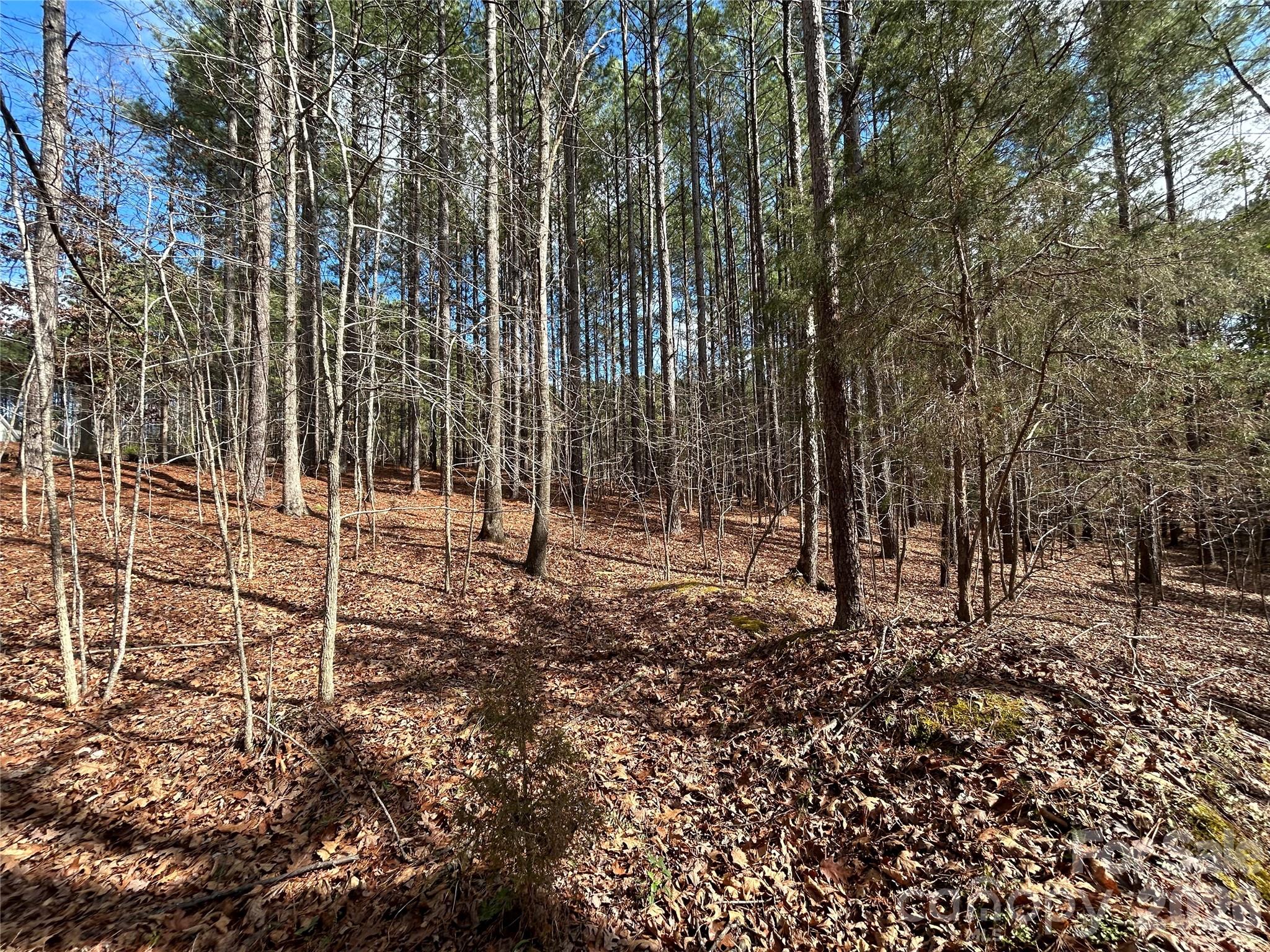 Swift Island Plantation - Land
