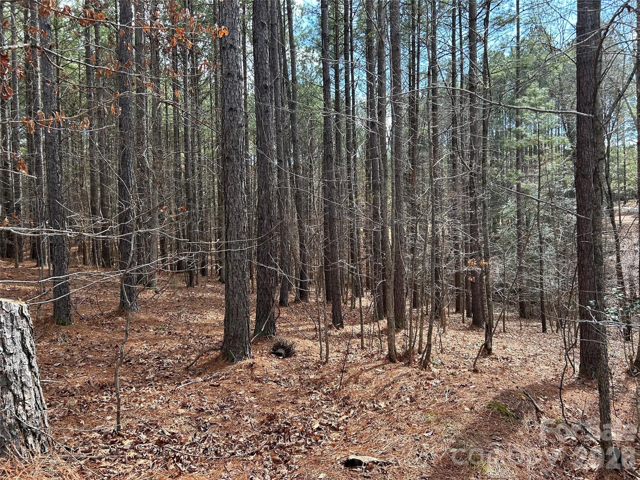 Swift Island Plantation - Land