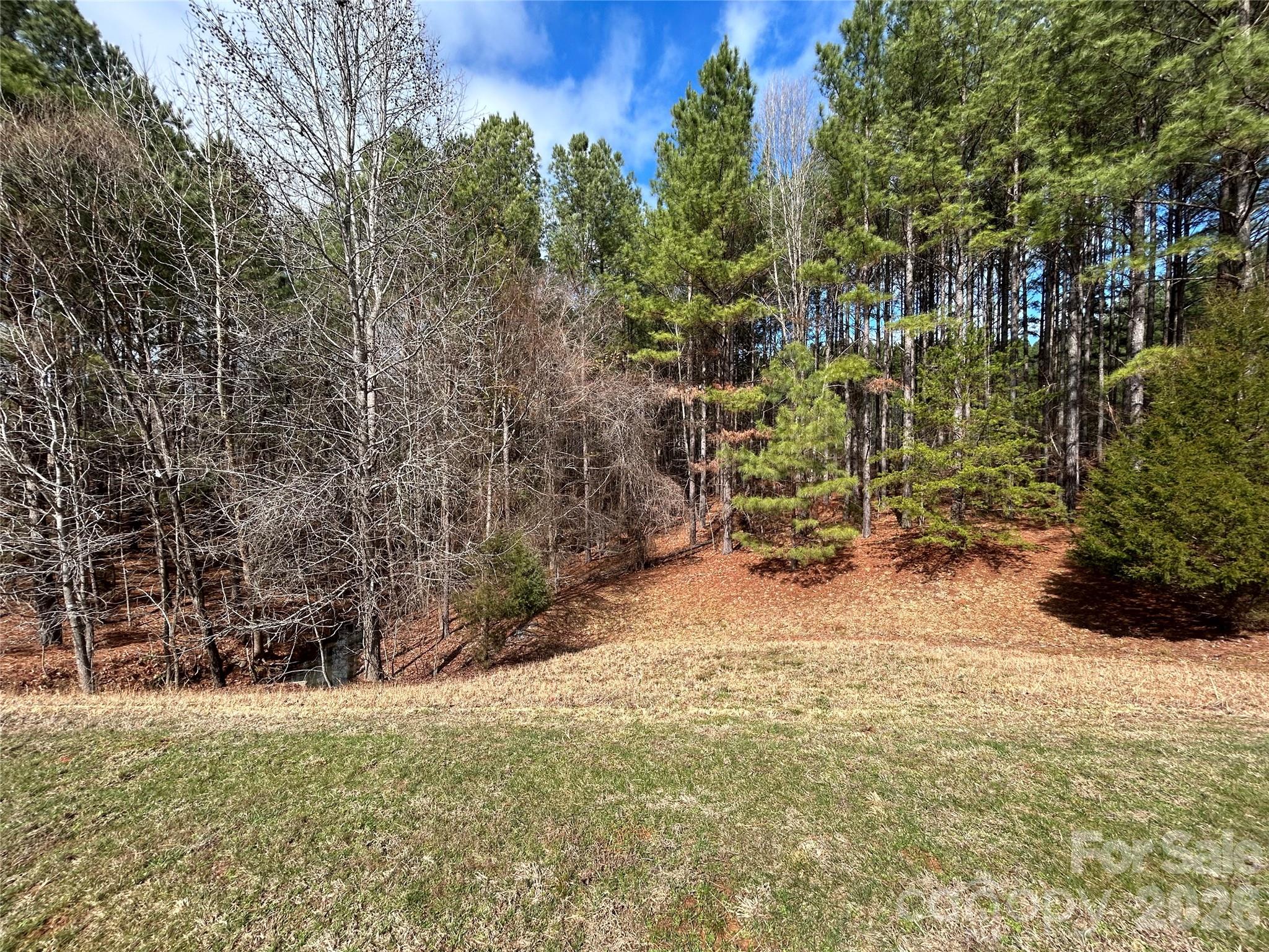 Swift Island Plantation - Land