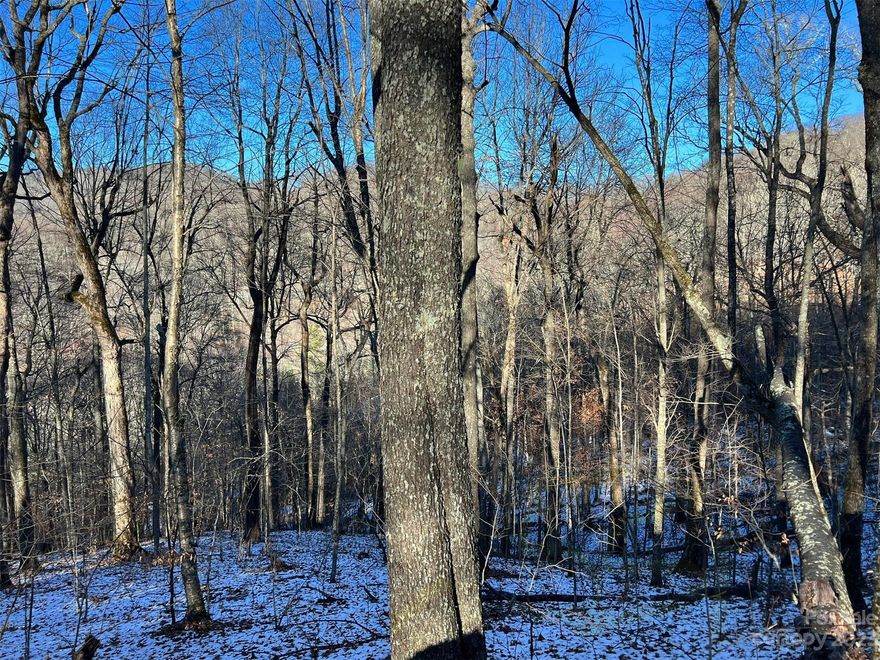 The beautiful Wolf Laurel gated community affords all the mountain living you could wish for with plenty to do summer and winter. Get your memberships and enjoy golf, horse back riding, swimming and several other amenities all at impressive heights with incredible views! Do you love hiking? The Appalachian Trail runs close by so you can jump on the local access points!