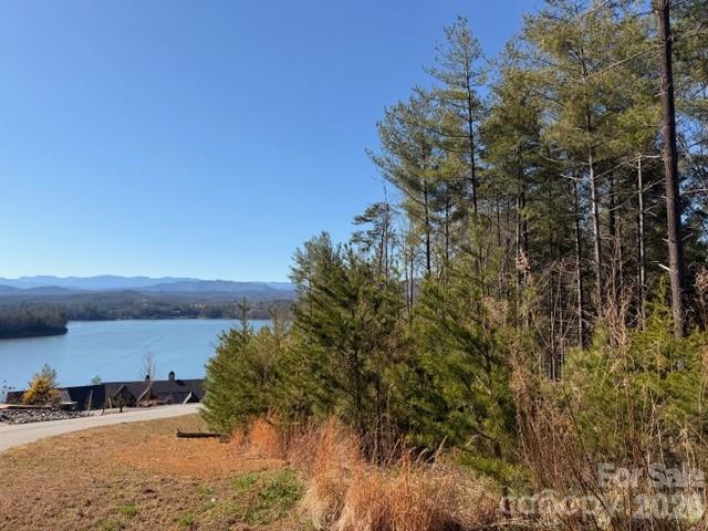 The Peninsula at Lake James - Land