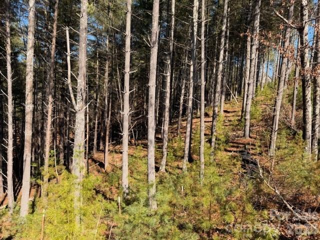 The Peninsula at Lake James - Land