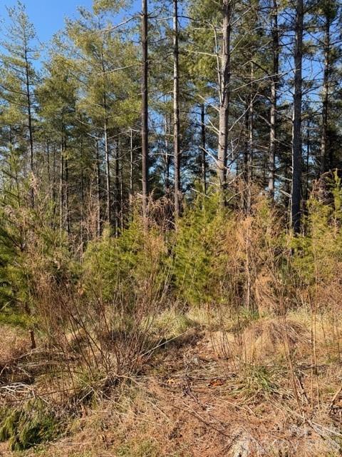 The Peninsula at Lake James - Land