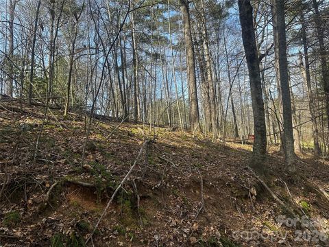 00 Saw Mill Hollow Burnsville NC 28714