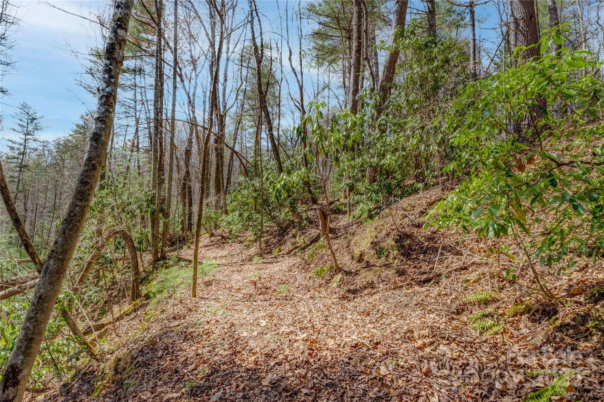 Champion Hills - Land