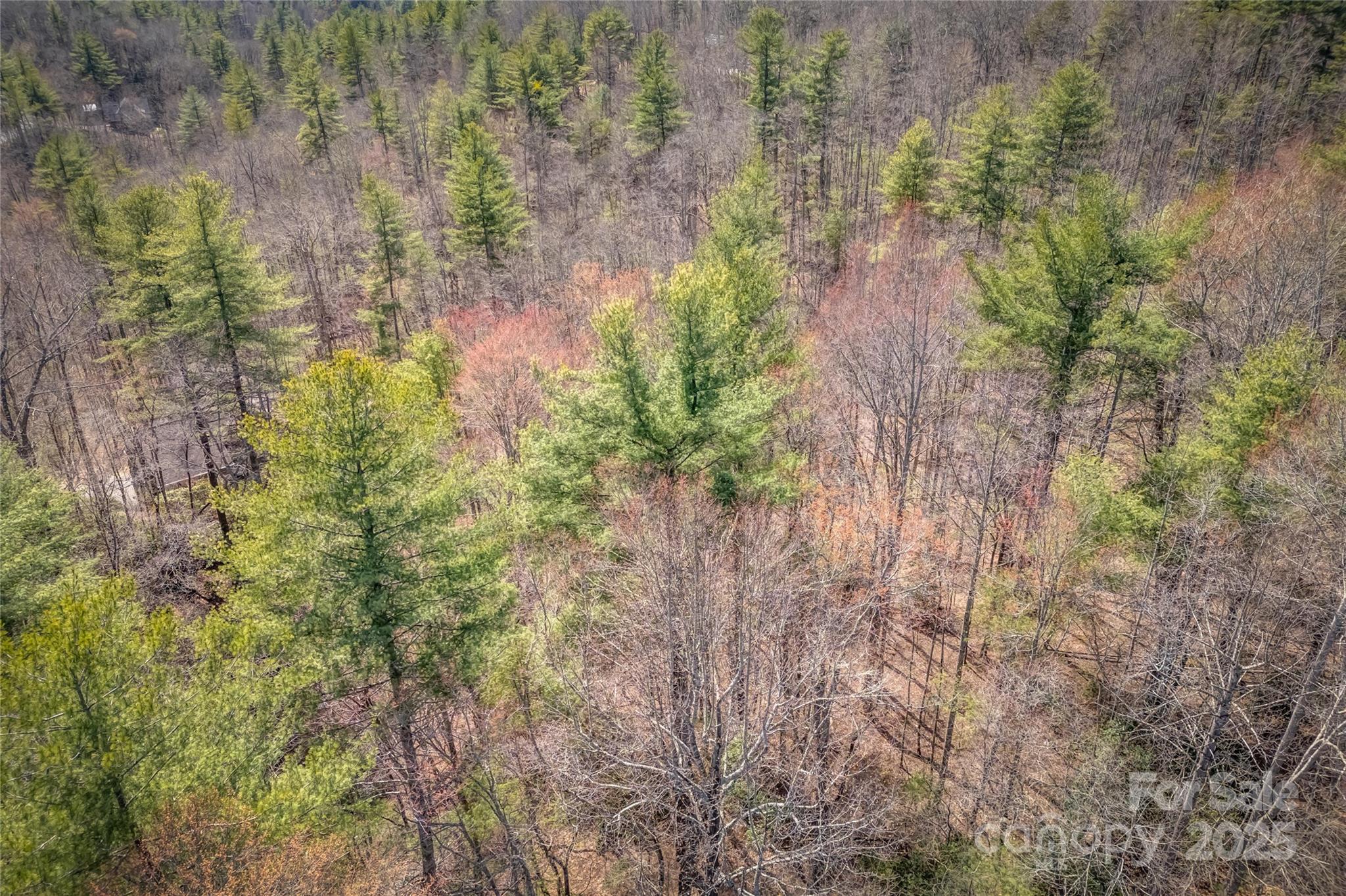 Champion Hills - Land