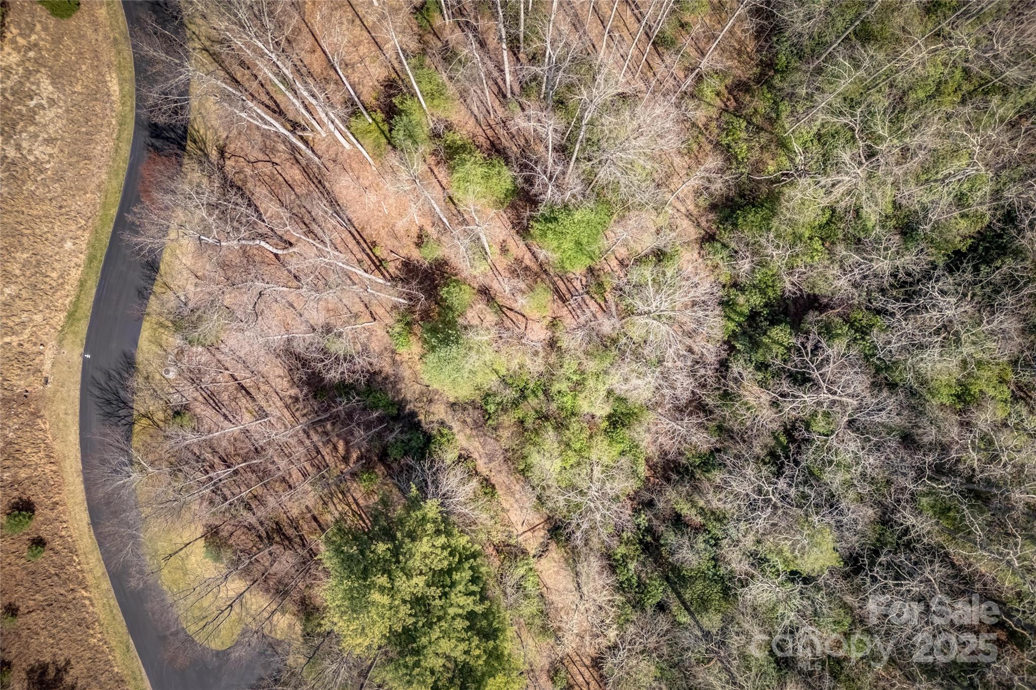 Champion Hills - Land