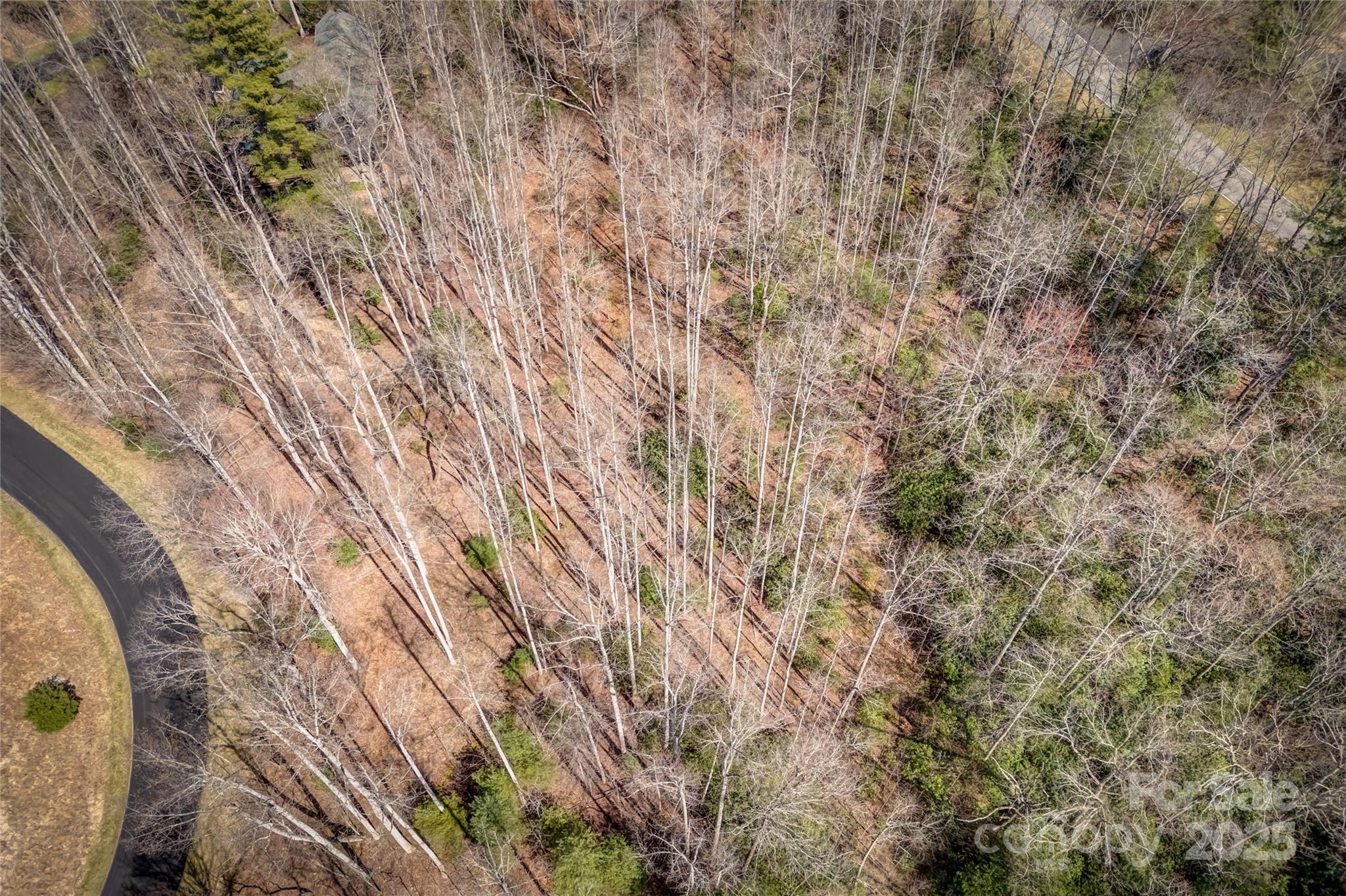 Champion Hills - Land