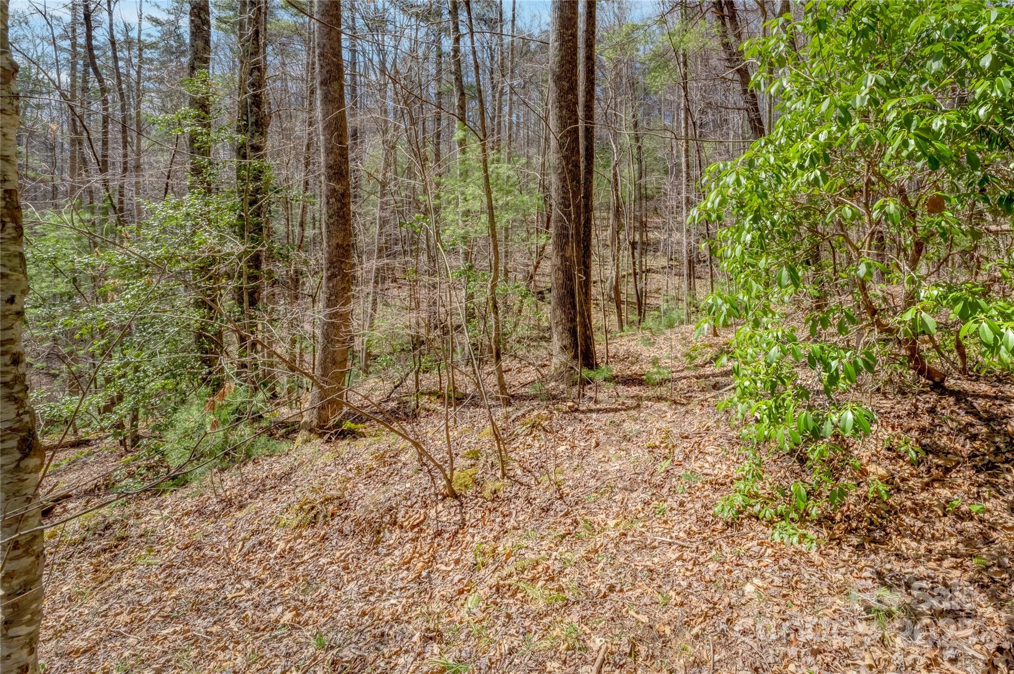 Champion Hills - Land