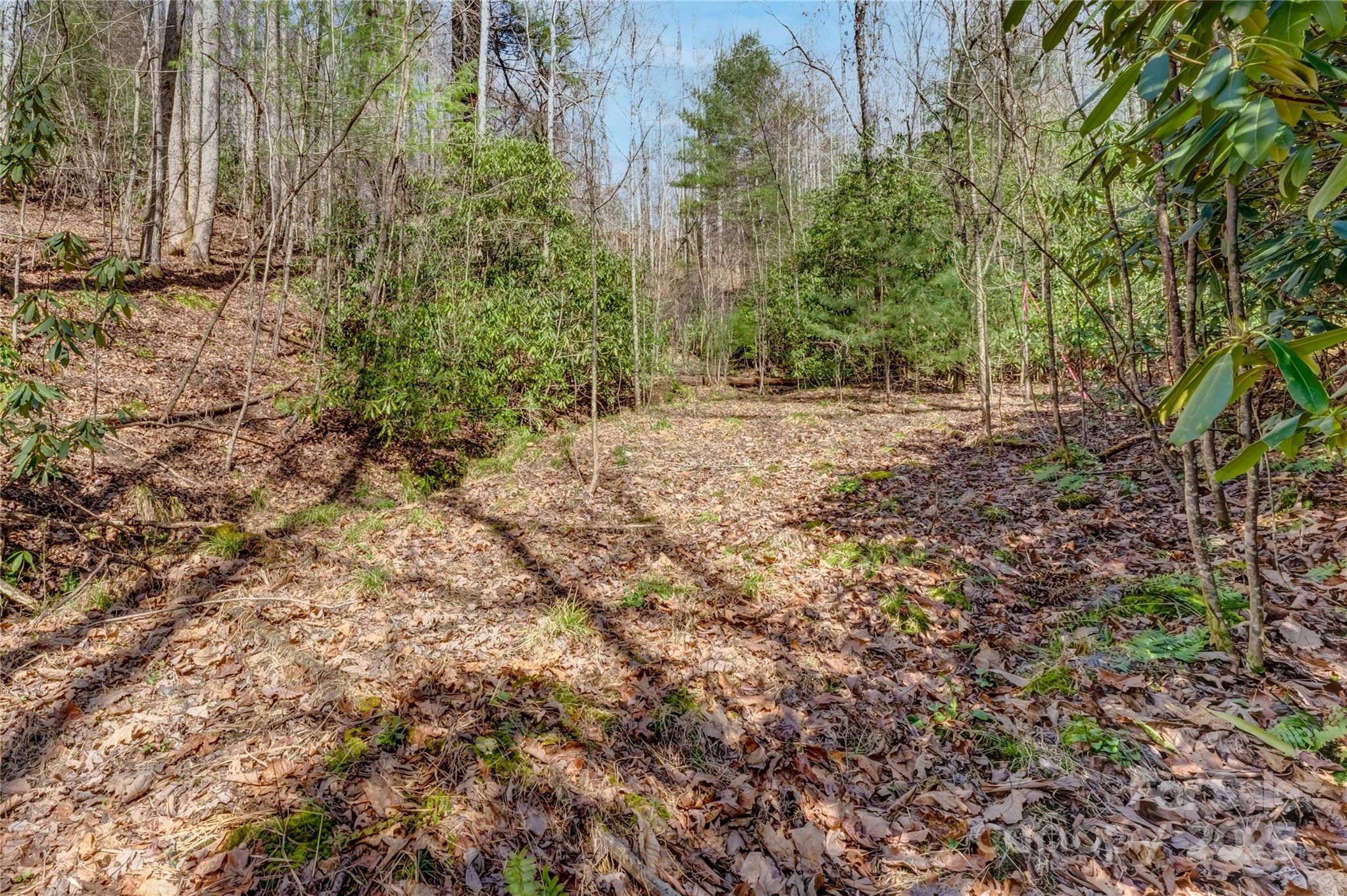 Champion Hills - Land