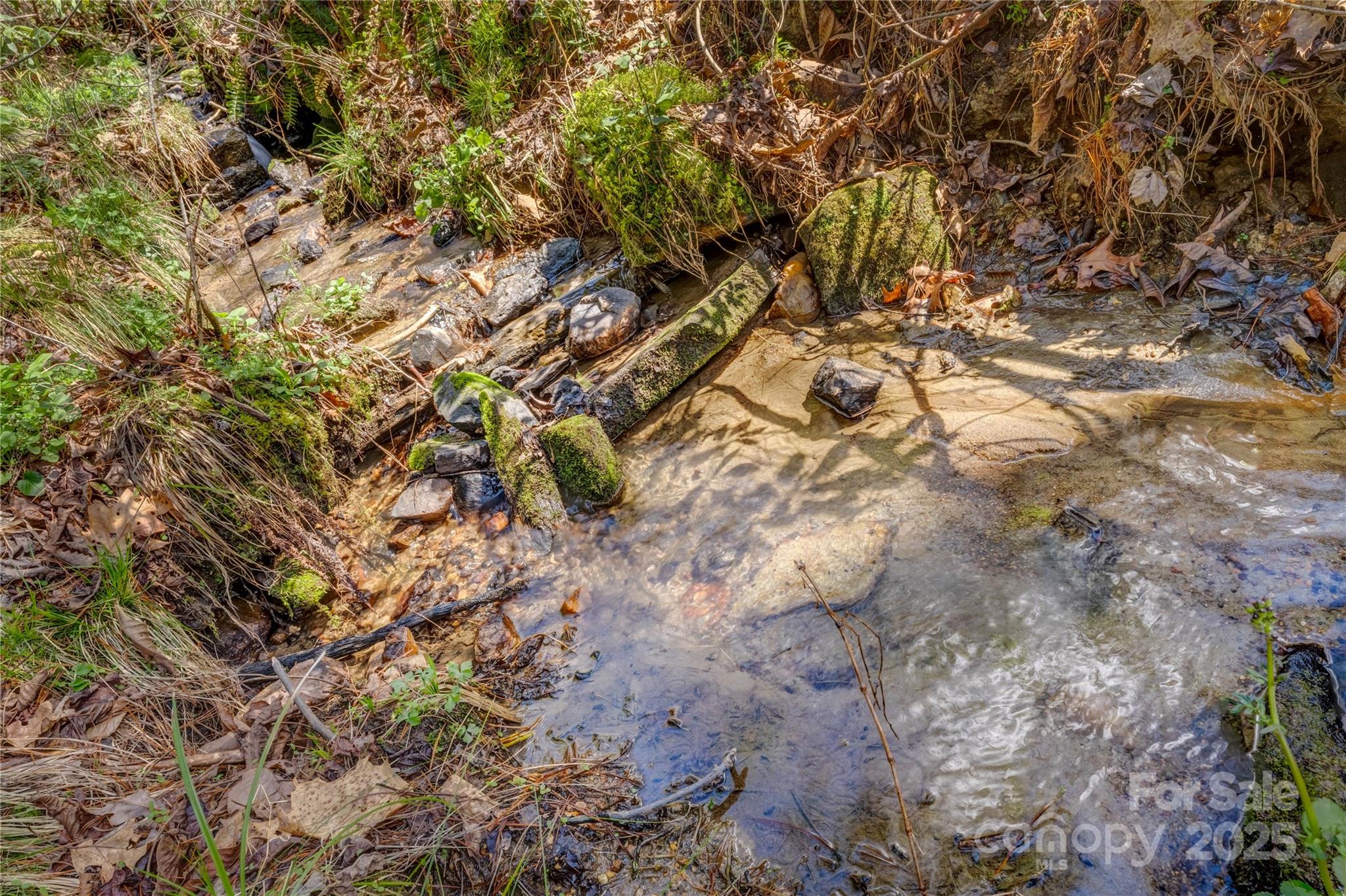 Champion Hills - Land