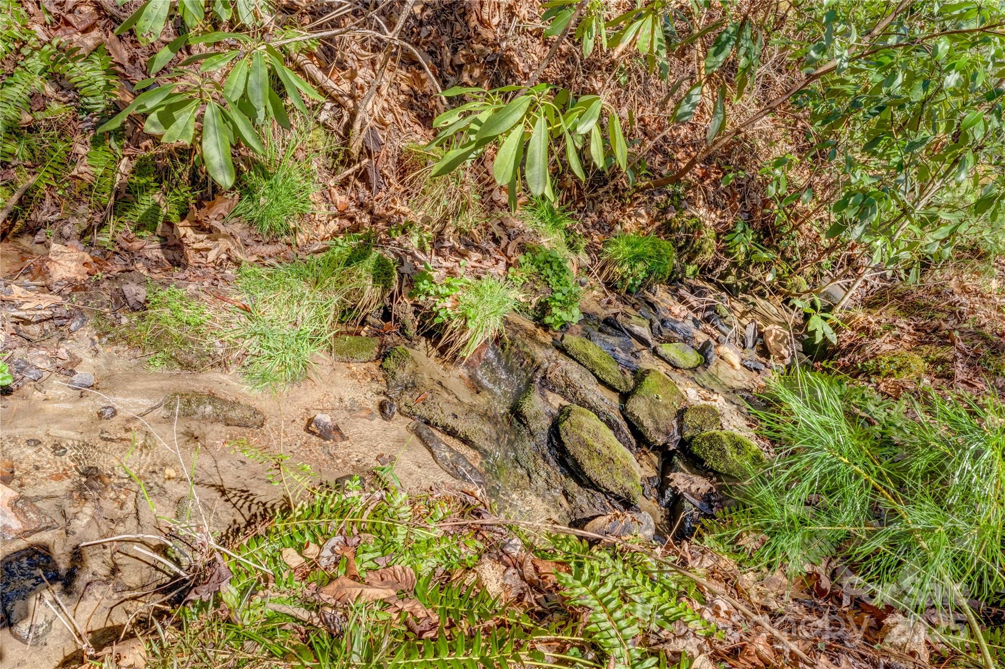 Champion Hills - Land