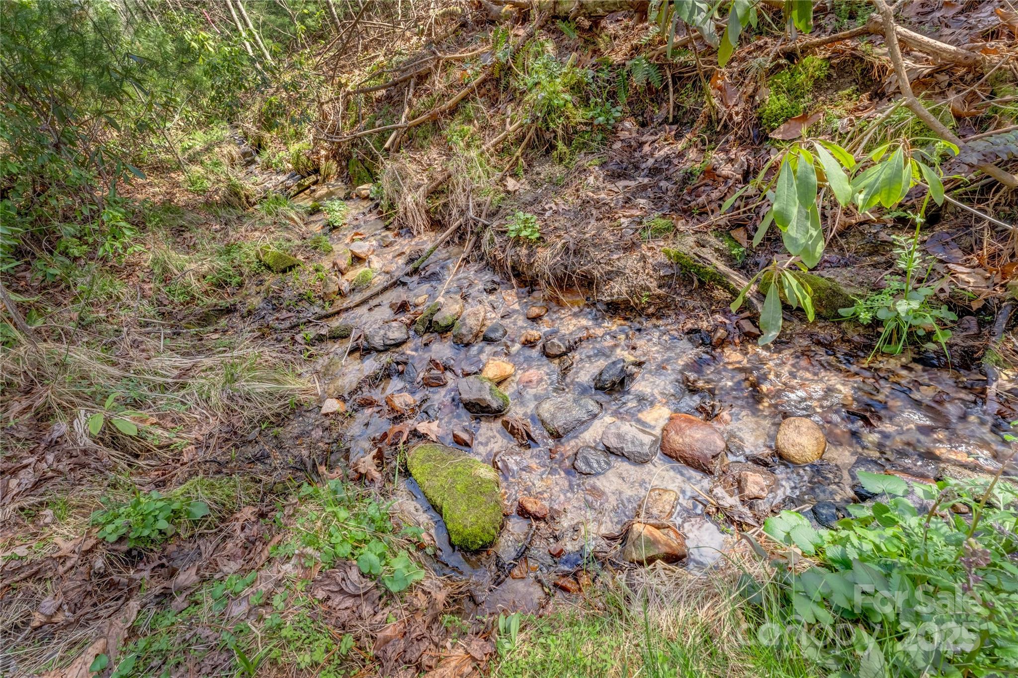 Champion Hills - Land