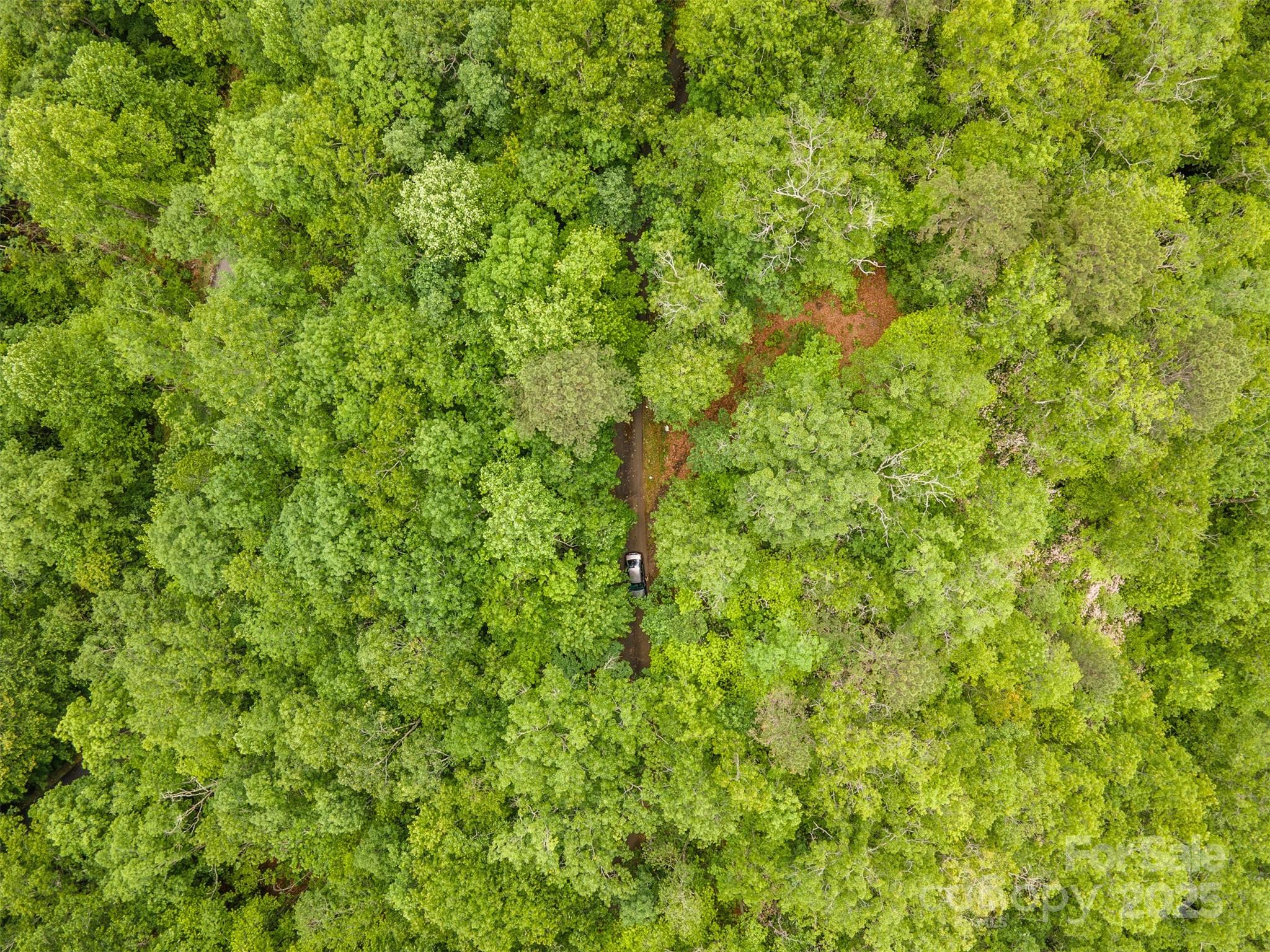 Bear Lake Reserve - Land