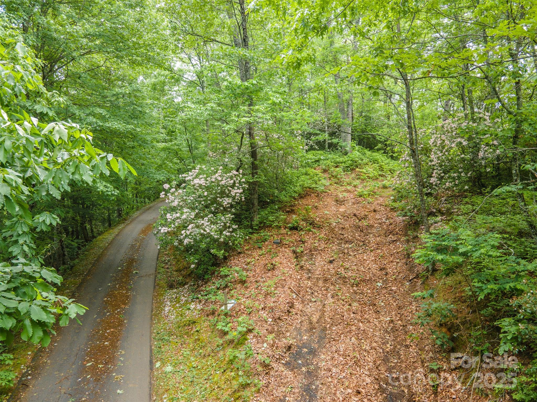 Bear Lake Reserve - Land