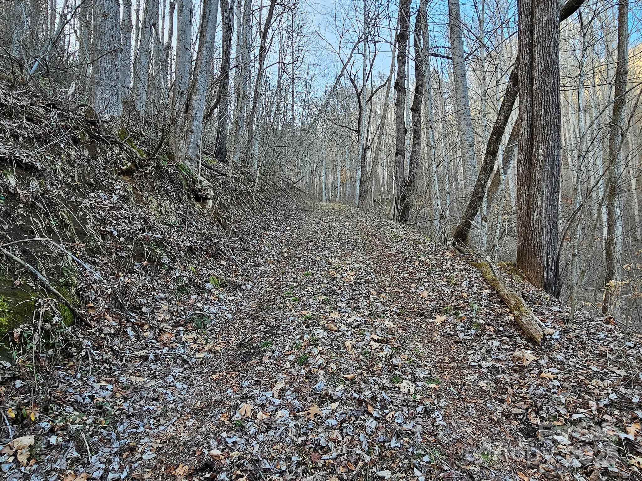 80 Choke Berry Ridge