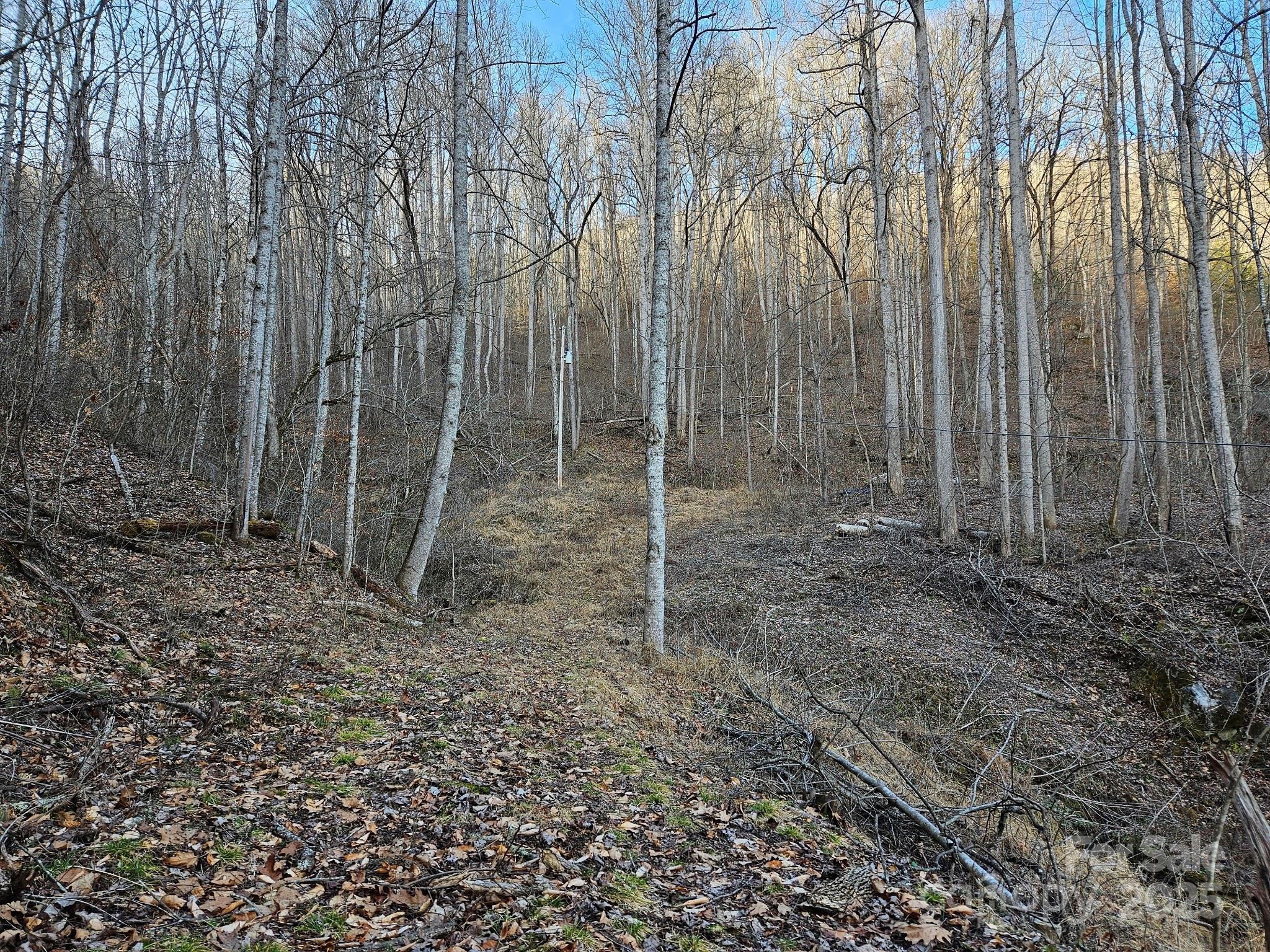 80 Choke Berry Ridge