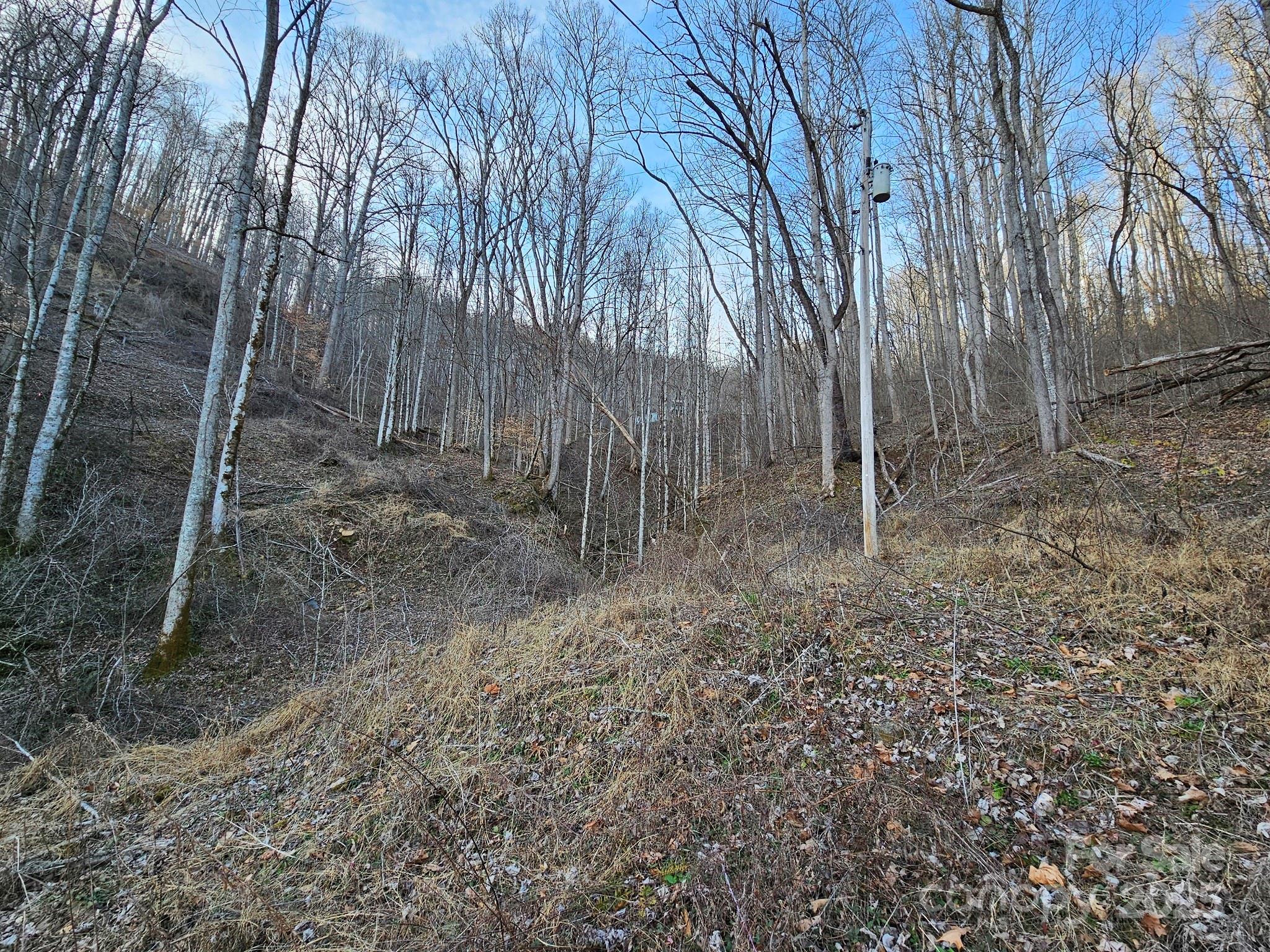 80 Choke Berry Ridge