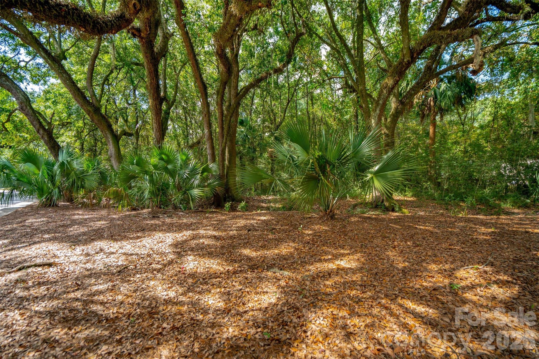 Beresford Hall - Land