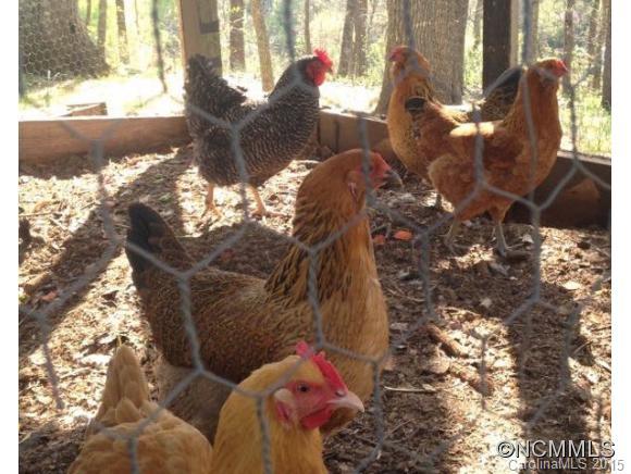 Lower Brush Creek - Residential