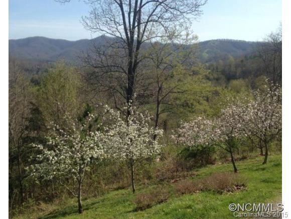 Lower Brush Creek - Residential