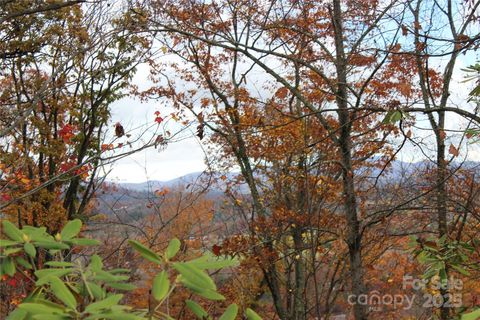 r1 Curtain Bluff Hendersonville NC 28791