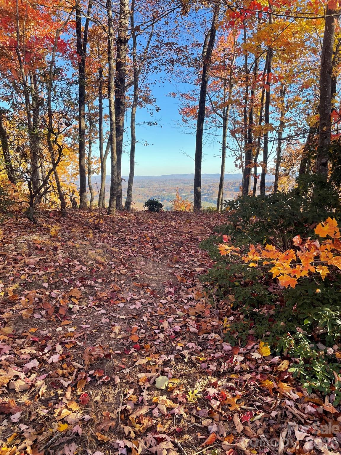 TBD N Blackberry Ridge Drive