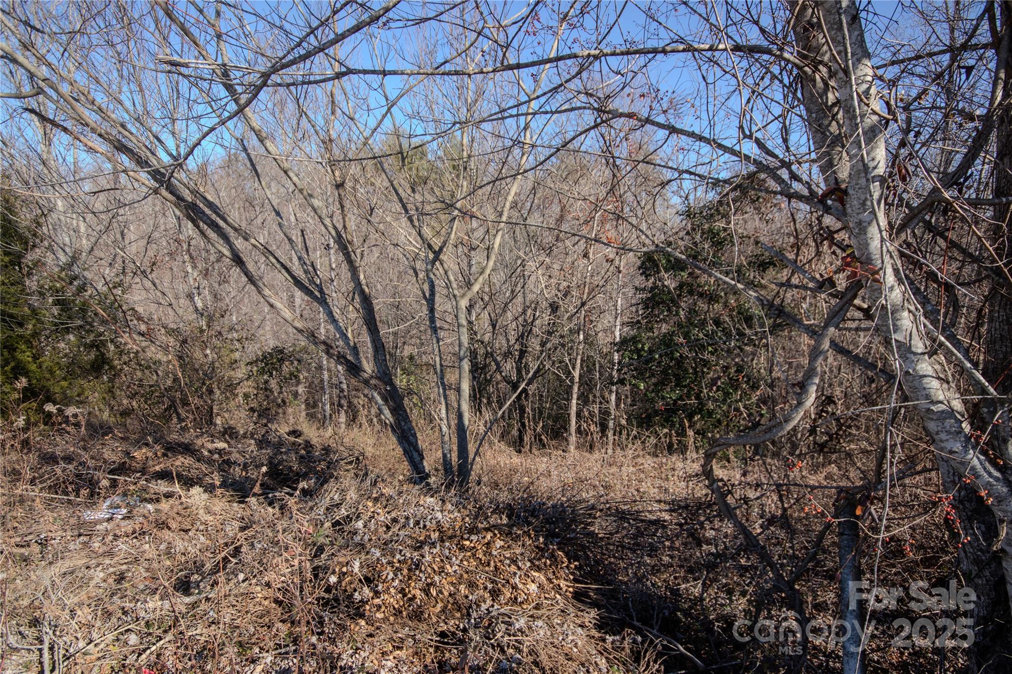 702 Chatsworth Circle SE 1