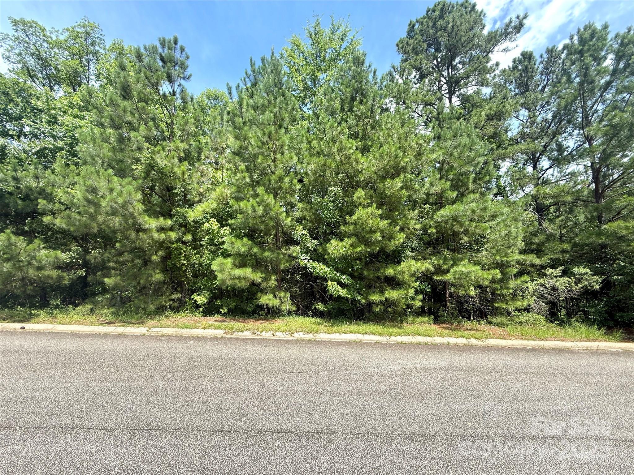 College Place - Land