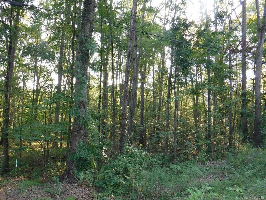Beautiful wooded lot - 1.72+/- ac. Lot size approx. Septic Permit required, and potentially will require lift station.
