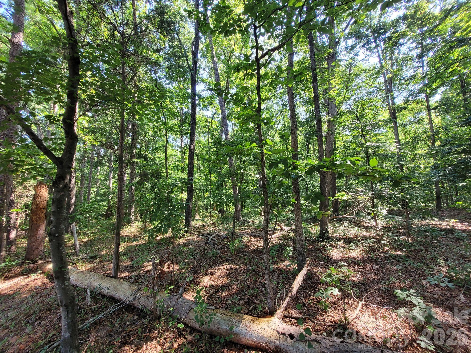 7908 Concord Highway