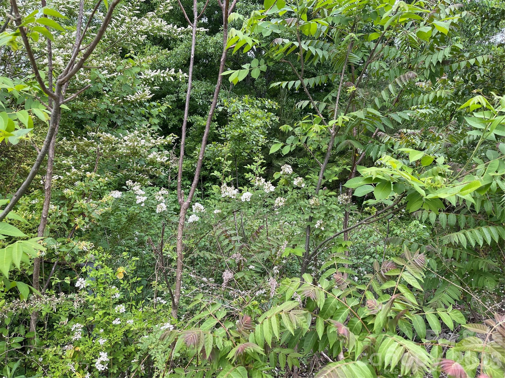 2733 US 221S Highway