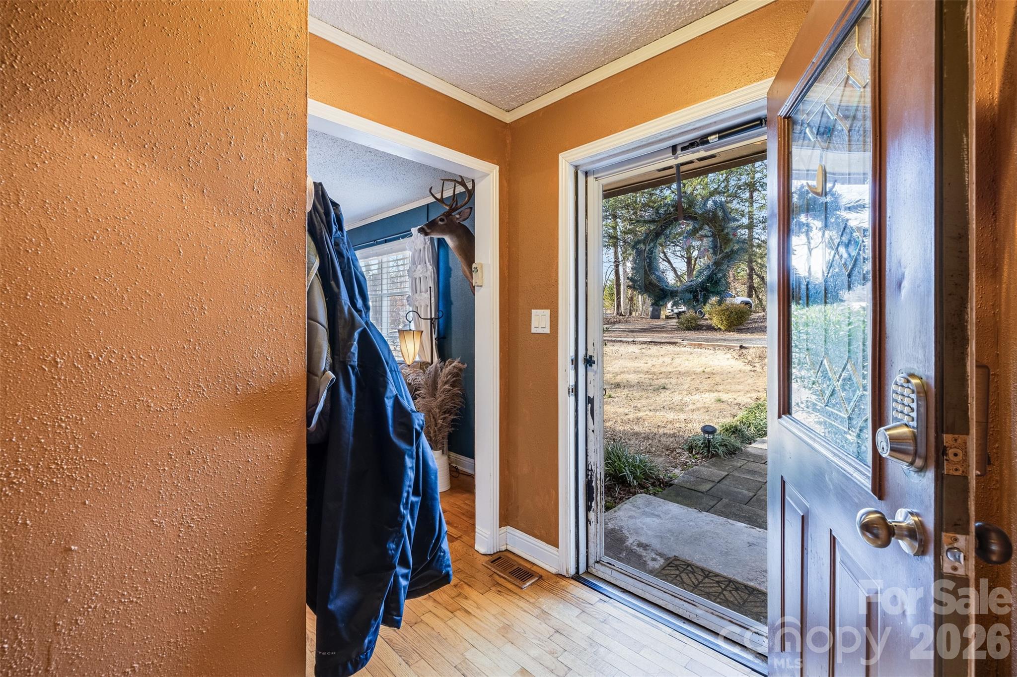 123 Sandy Creek Drive