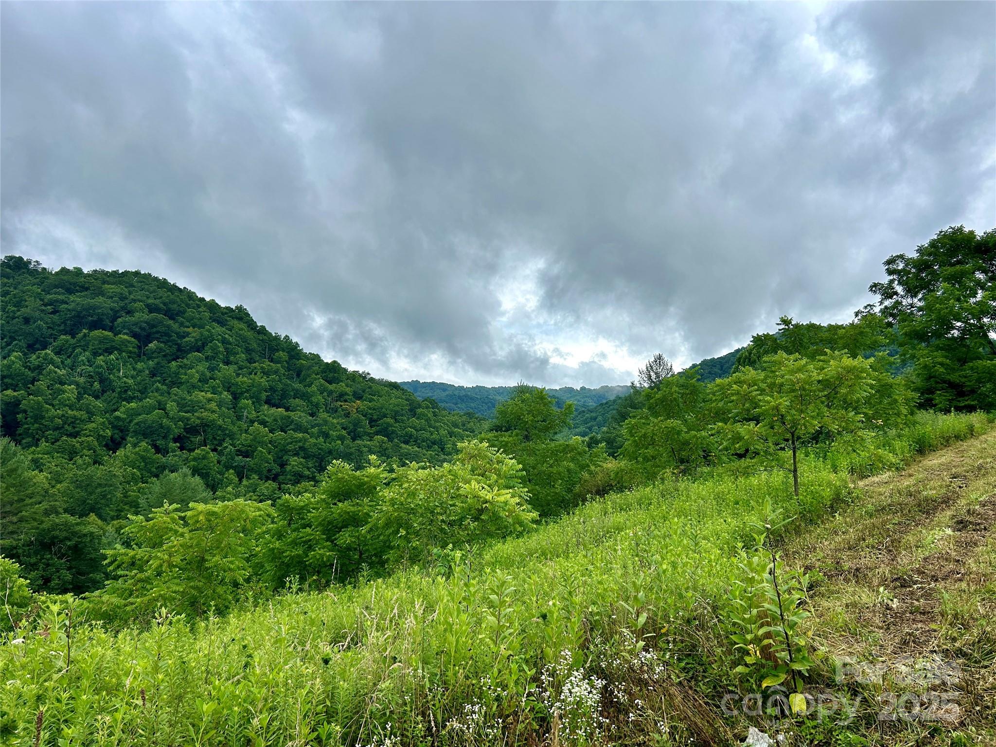 Sugar Grove, North Carolina 28679, United States, ,Land,Under Contract,50165