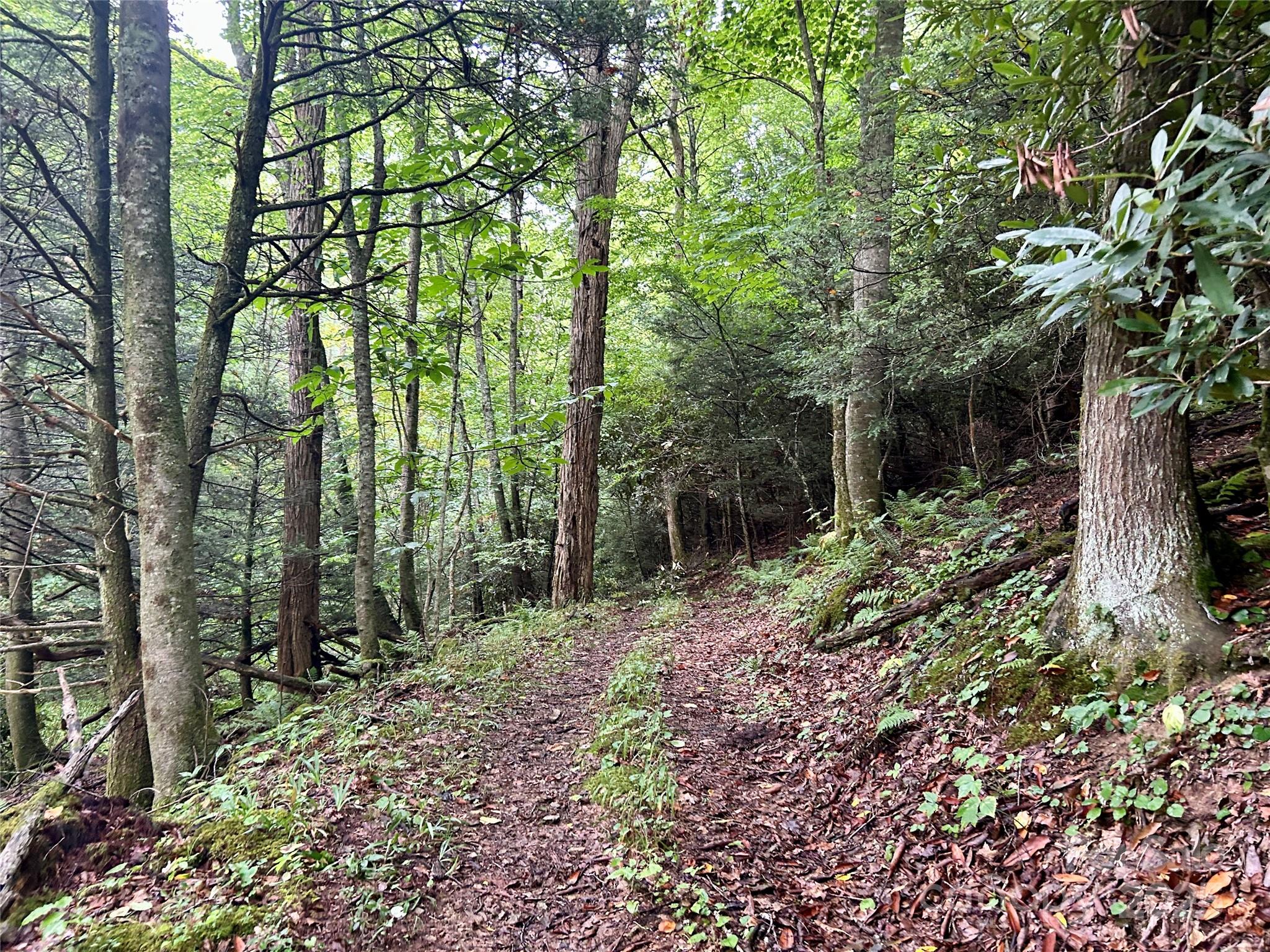 Sugar Grove, North Carolina 28679, United States, ,Land,Under Contract,50165