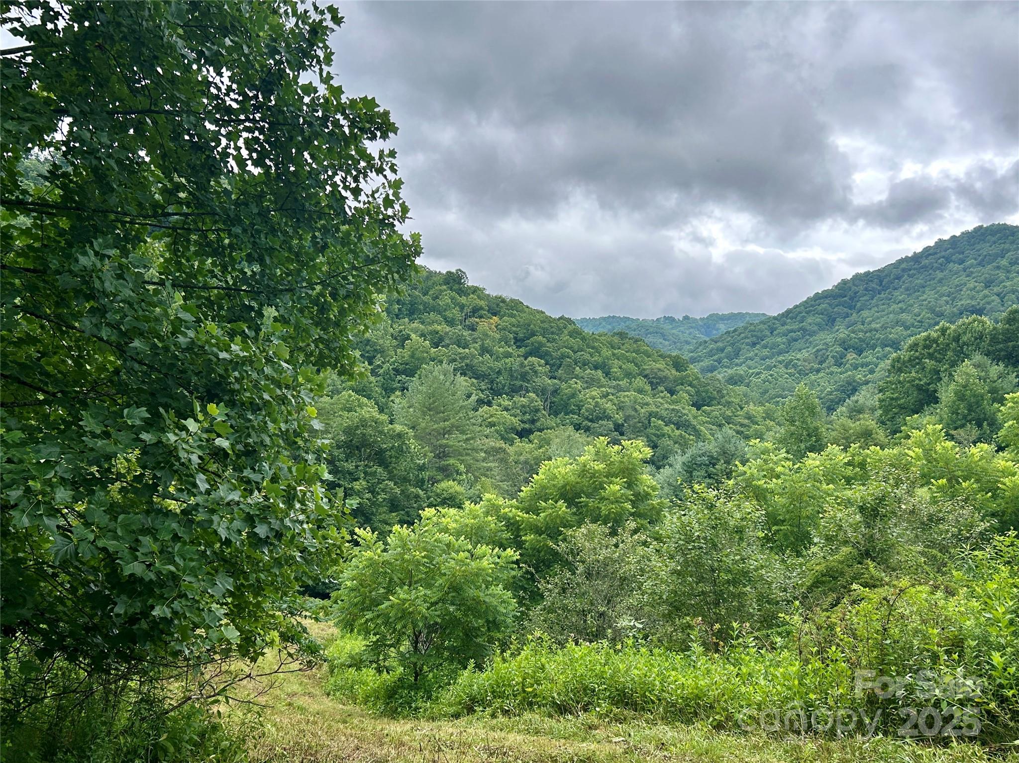 Sugar Grove, North Carolina 28679, United States, ,Land,Under Contract,50165