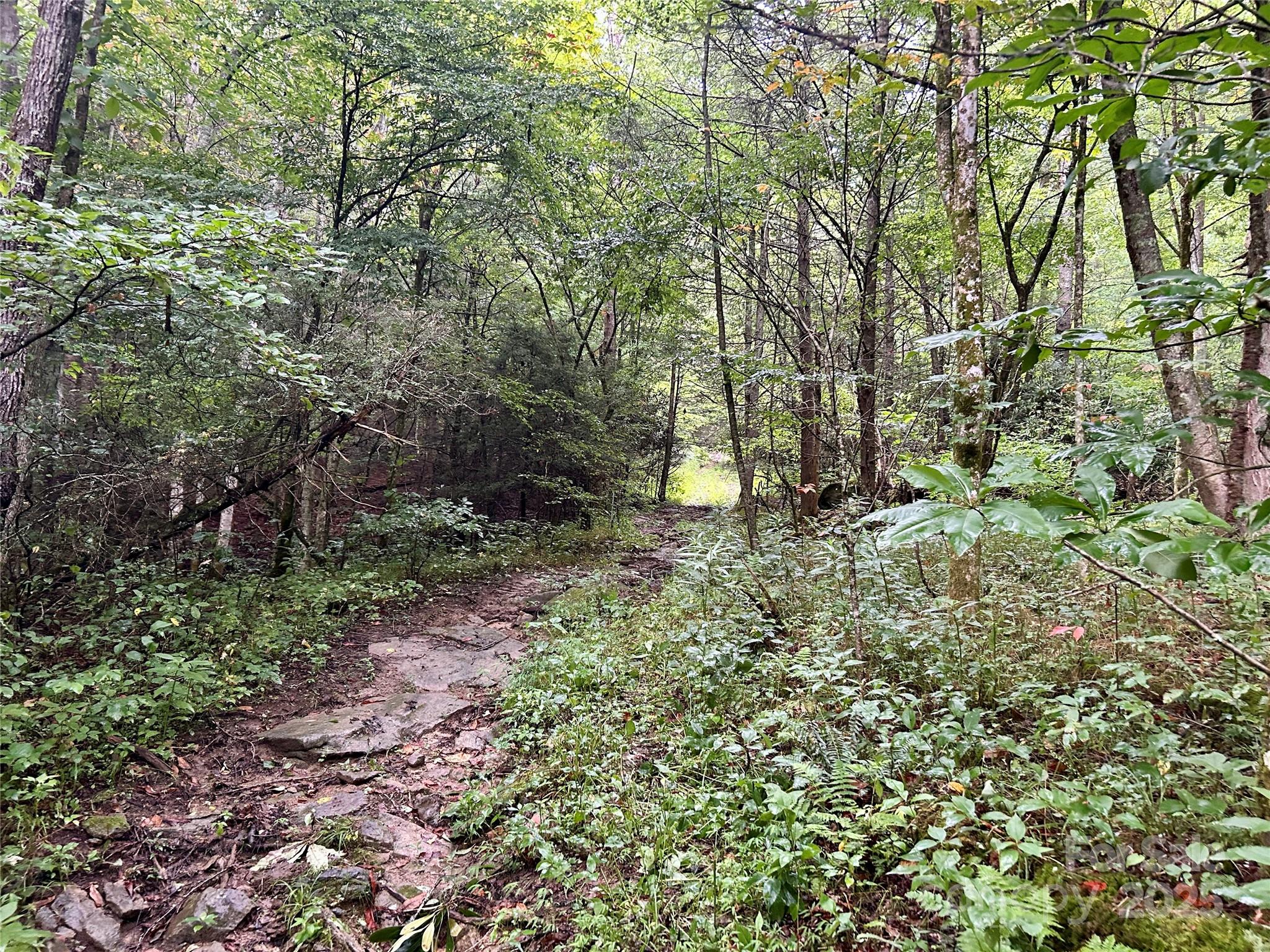 Sugar Grove, North Carolina 28679, United States, ,Land,Under Contract,50165