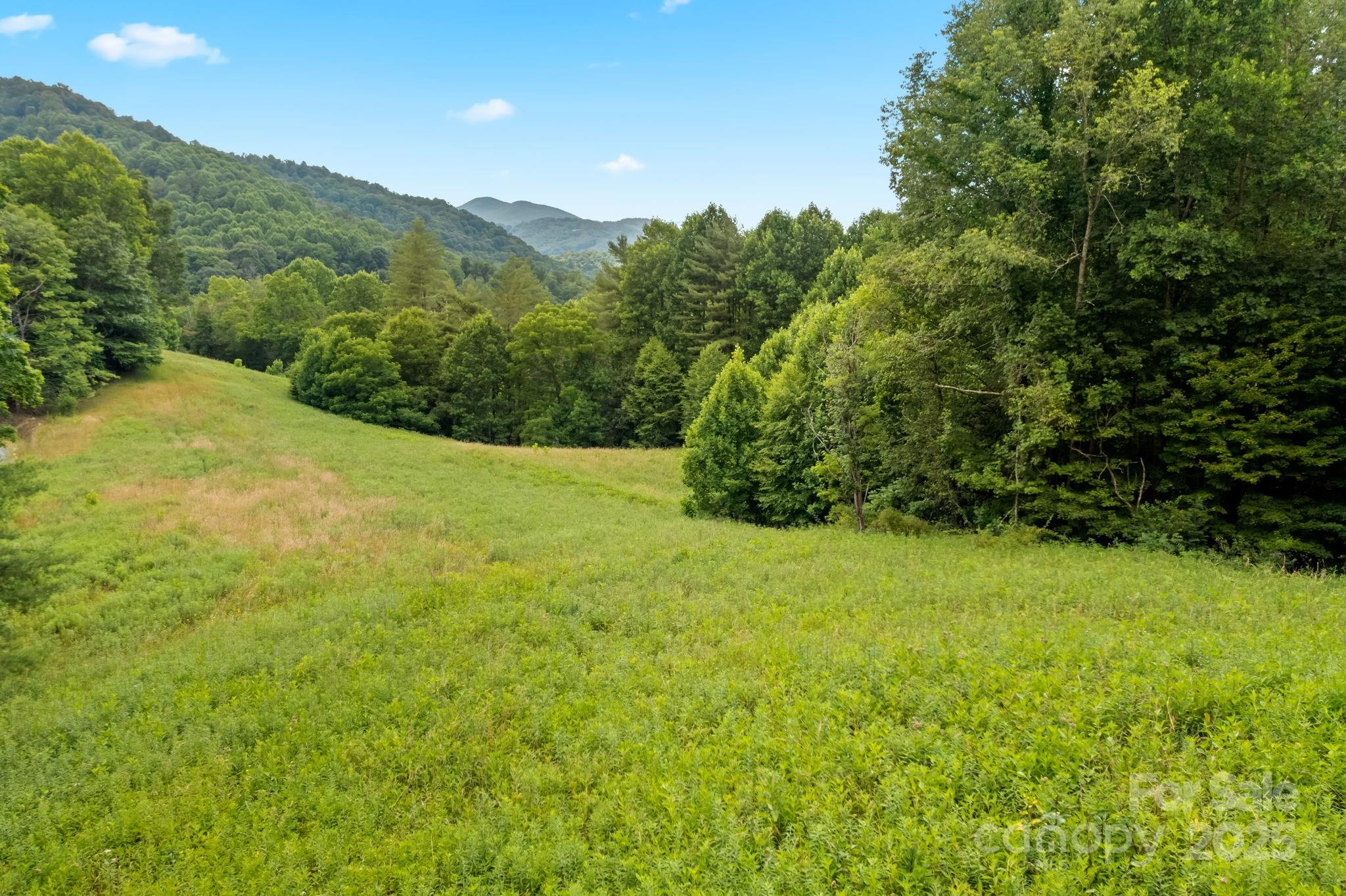 Sugar Grove, North Carolina 28679, United States, ,Land,Under Contract,50165