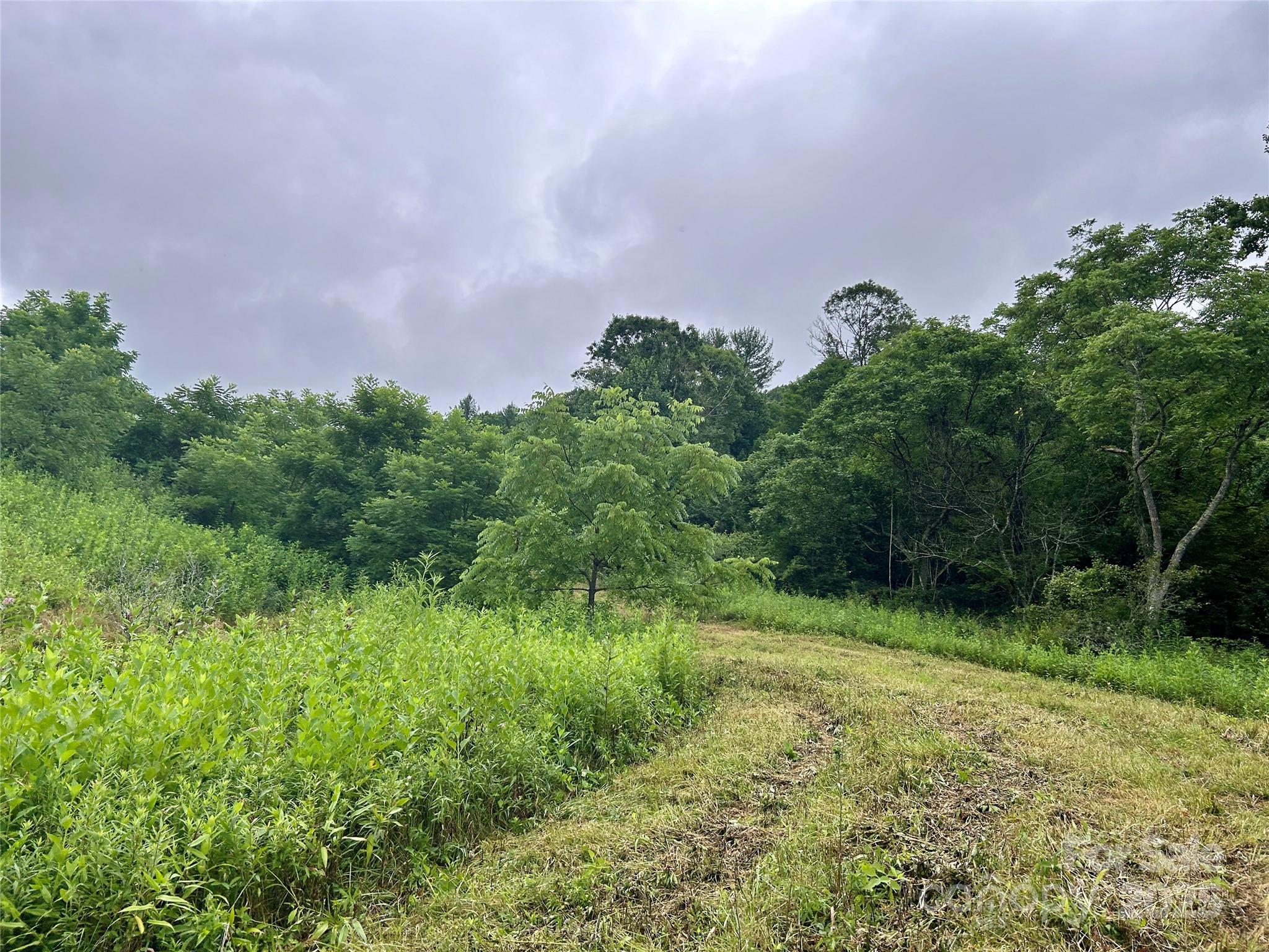 Sugar Grove, North Carolina 28679, United States, ,Land,Under Contract,50165