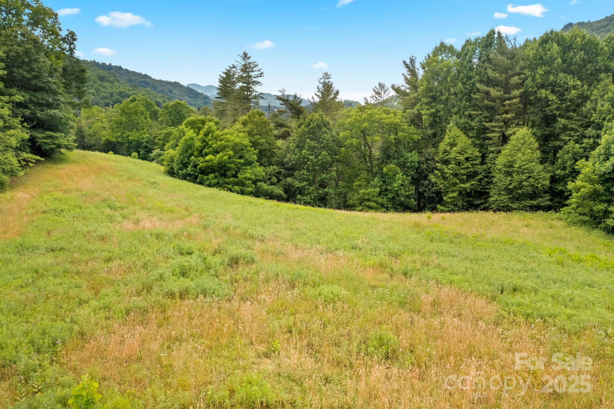 Sugar Grove, North Carolina 28679, United States, ,Land,Under Contract,50165