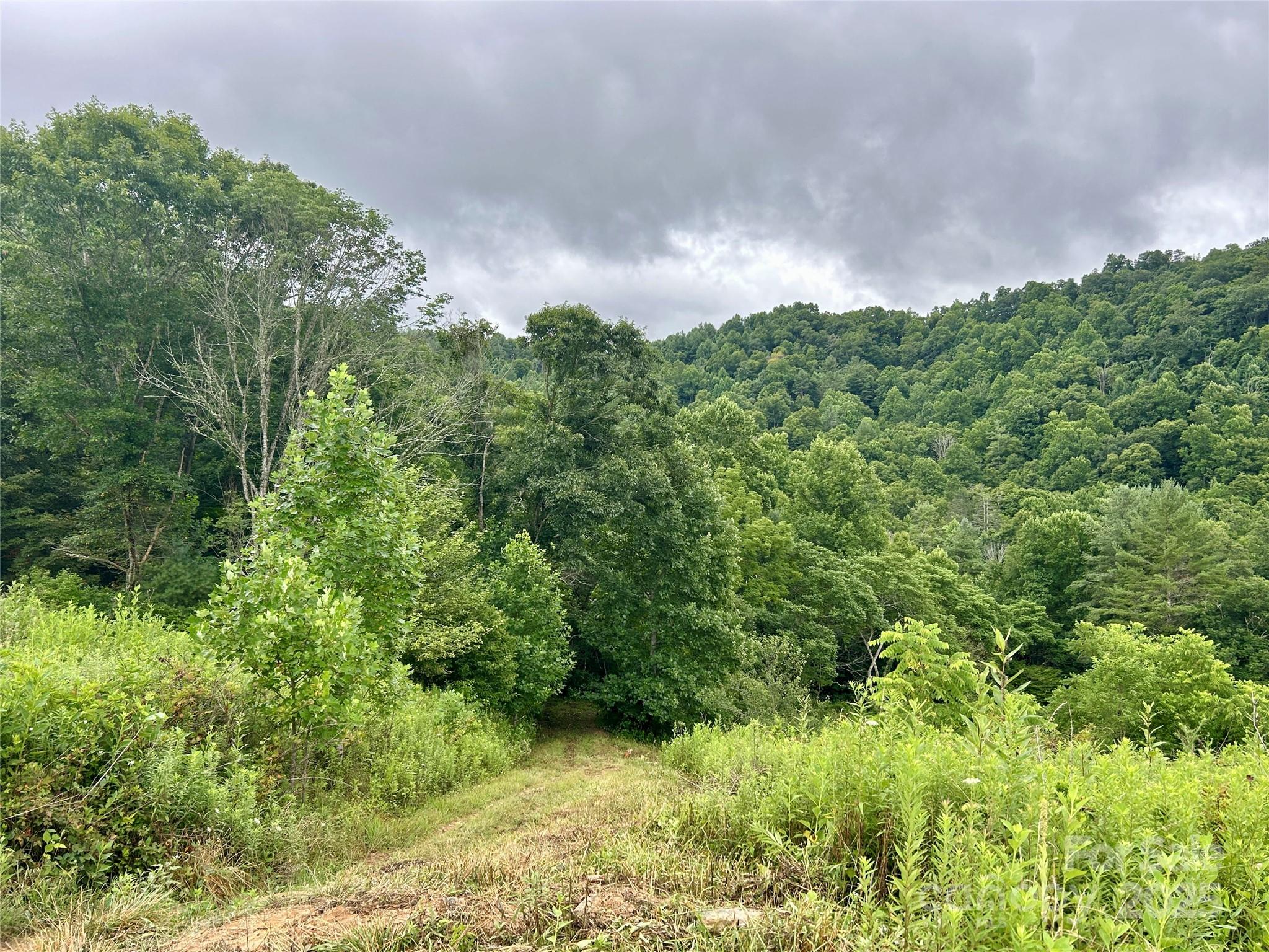 Sugar Grove, North Carolina 28679, United States, ,Land,Under Contract,50165