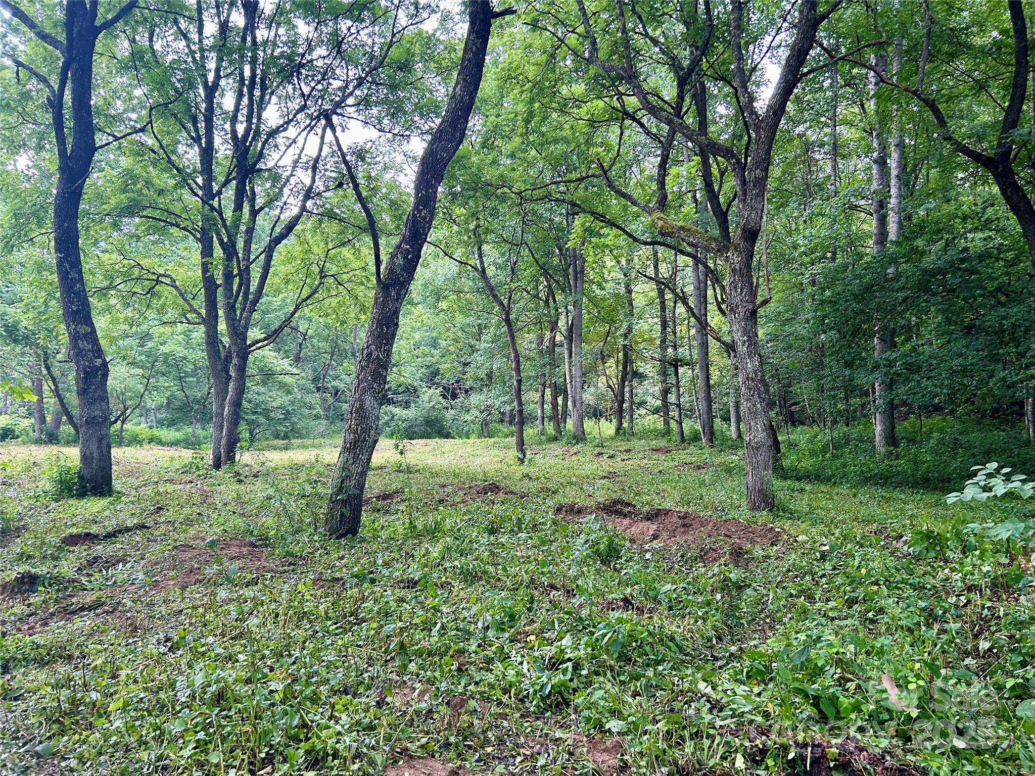 Sugar Grove, North Carolina 28679, United States, ,Land,Under Contract,50165