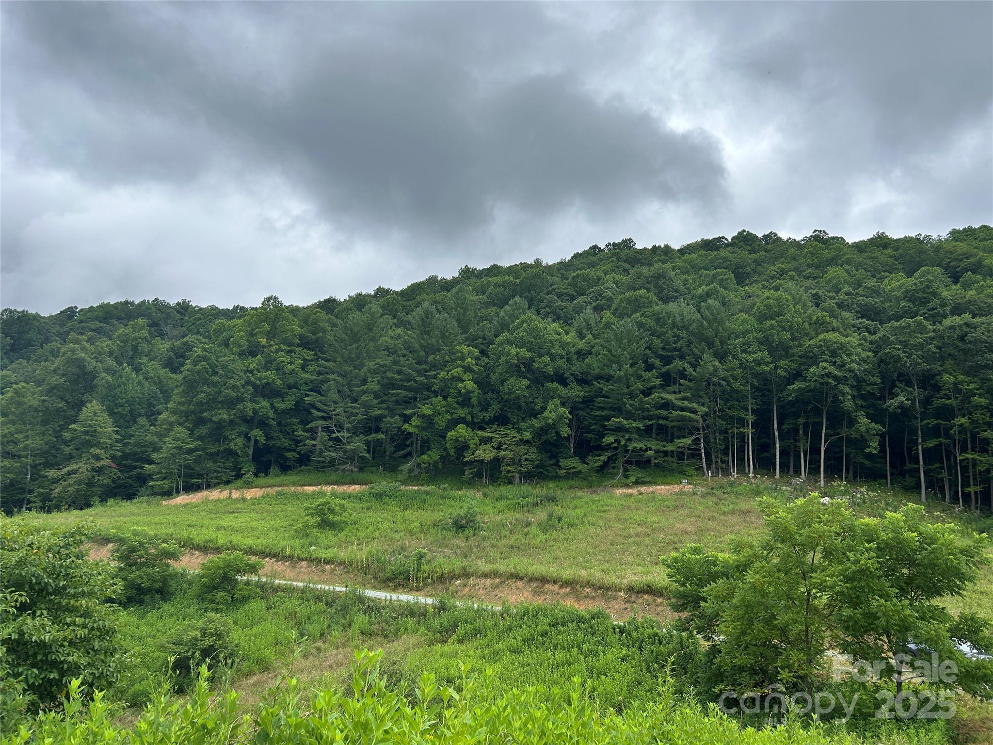 Sugar Grove, North Carolina 28679, United States, ,Land,Under Contract,50165