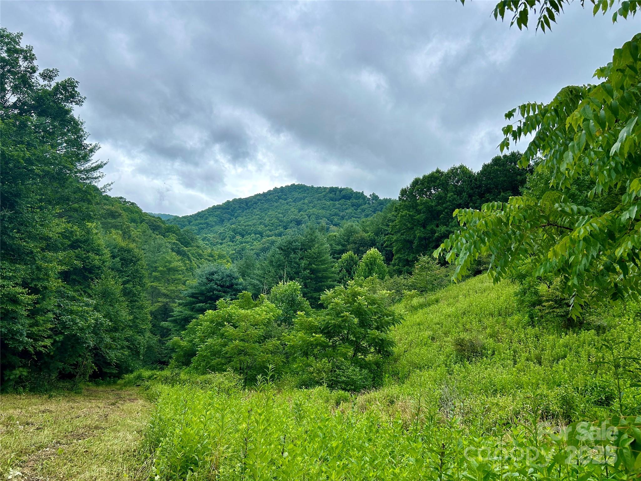 Sugar Grove, North Carolina 28679, United States, ,Land,Under Contract,50165