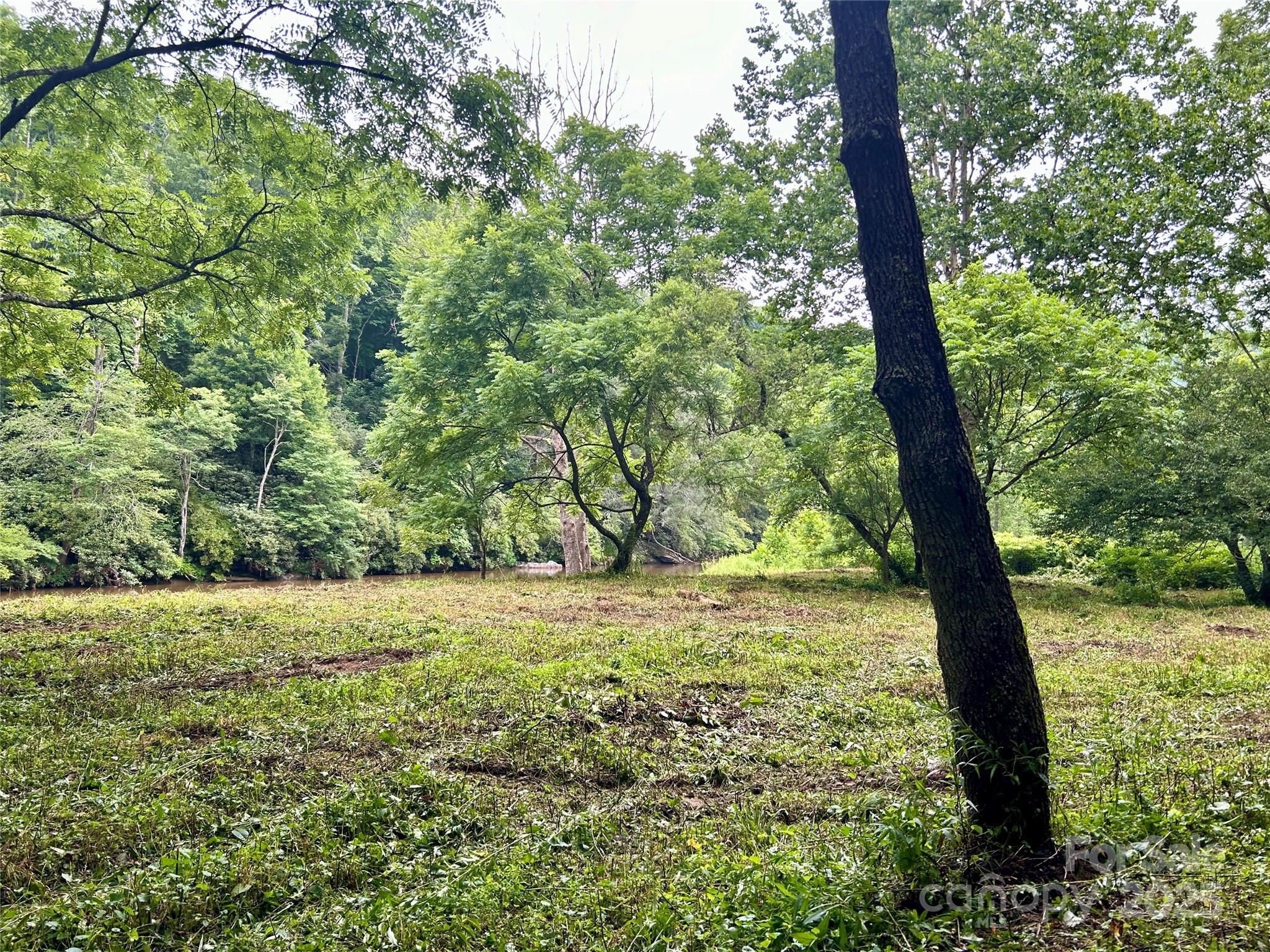 Sugar Grove, North Carolina 28679, United States, ,Land,Under Contract,50165